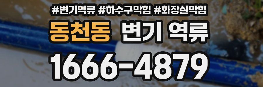 동천동 변기 역류