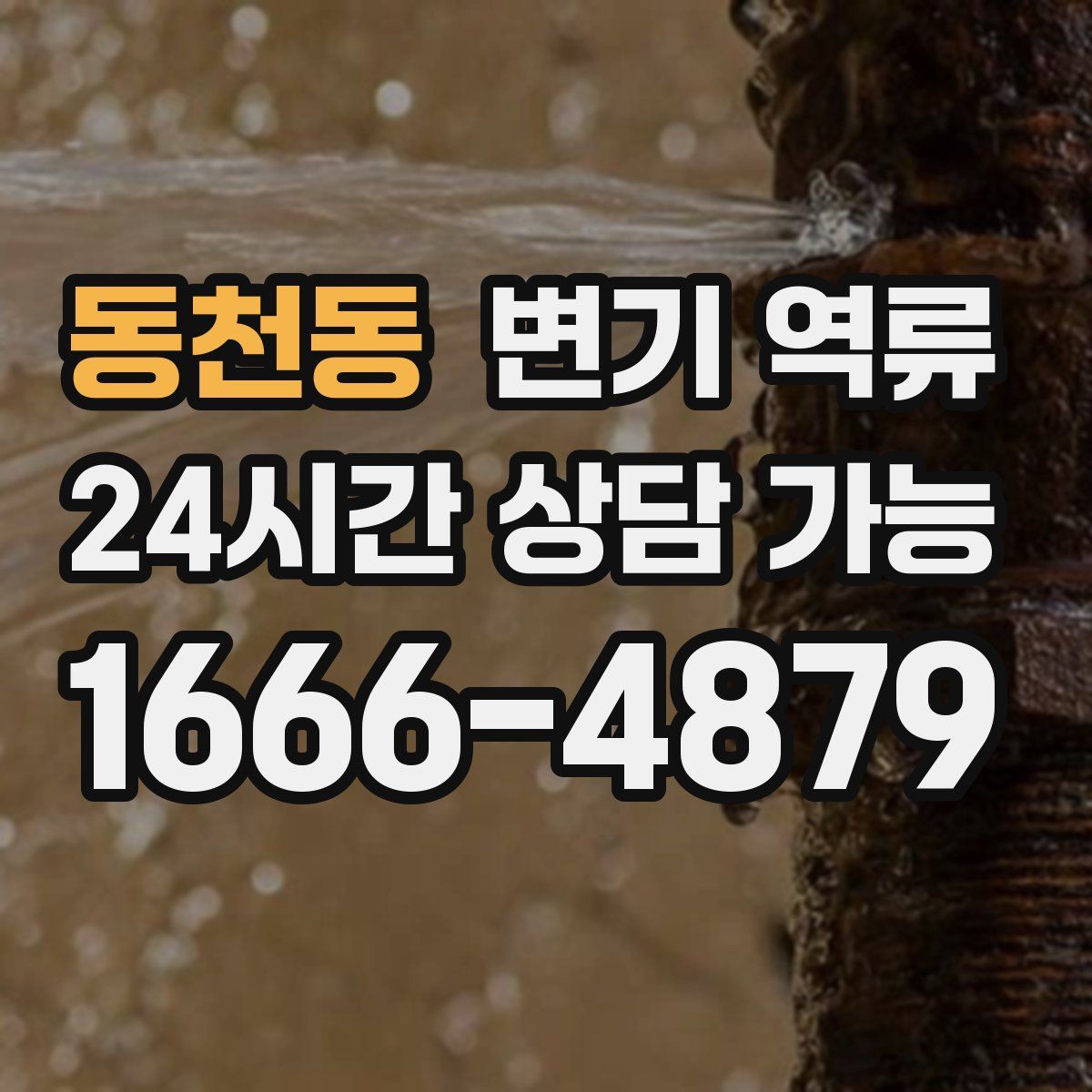 동천동 변기 역류