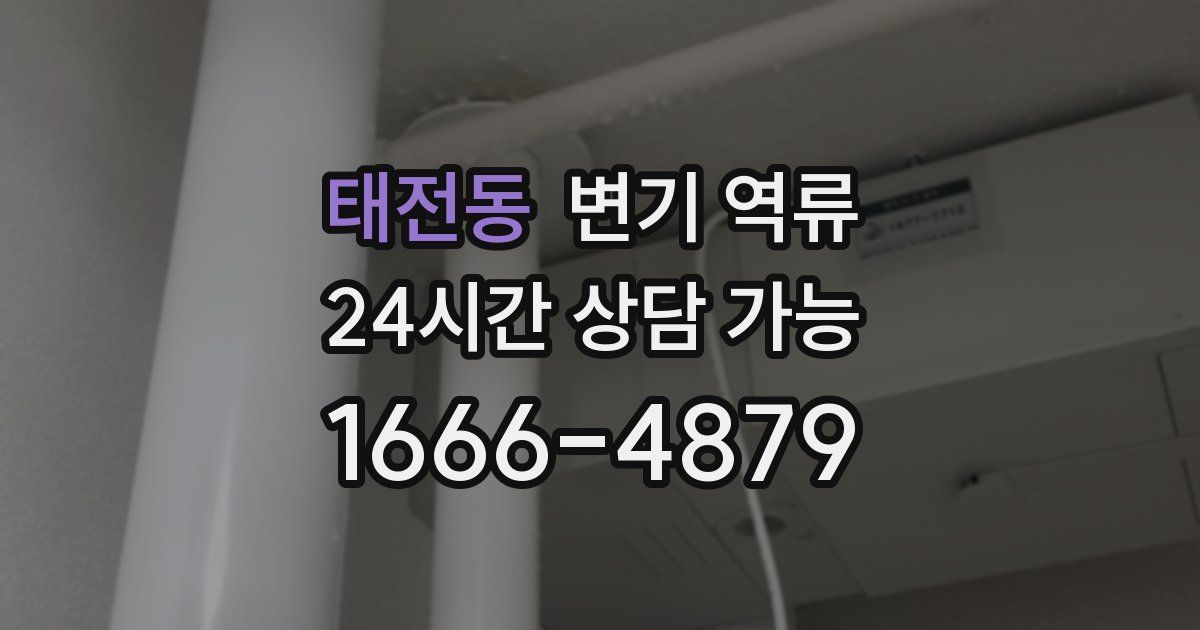 태전동 변기 역류