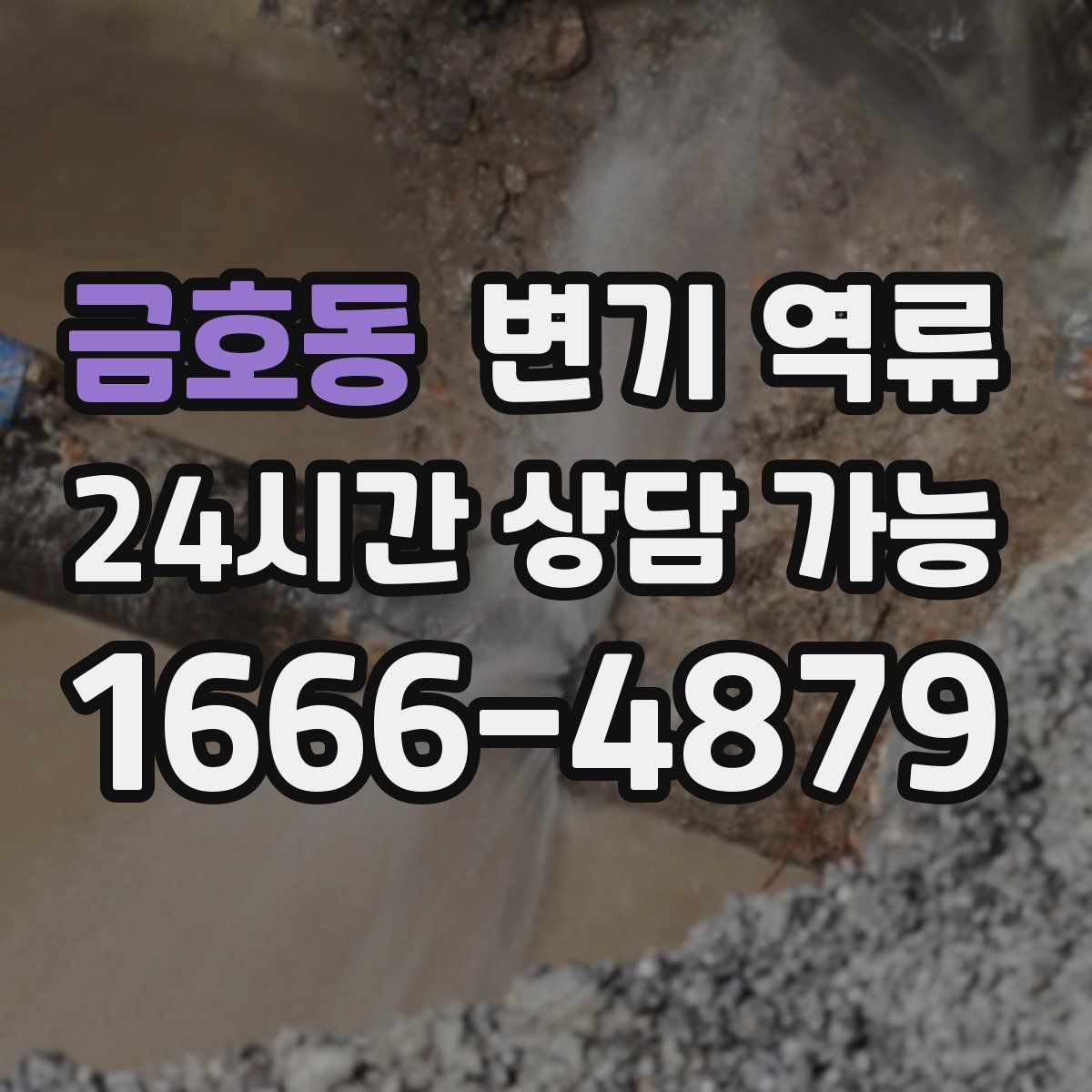 금호동 변기 역류