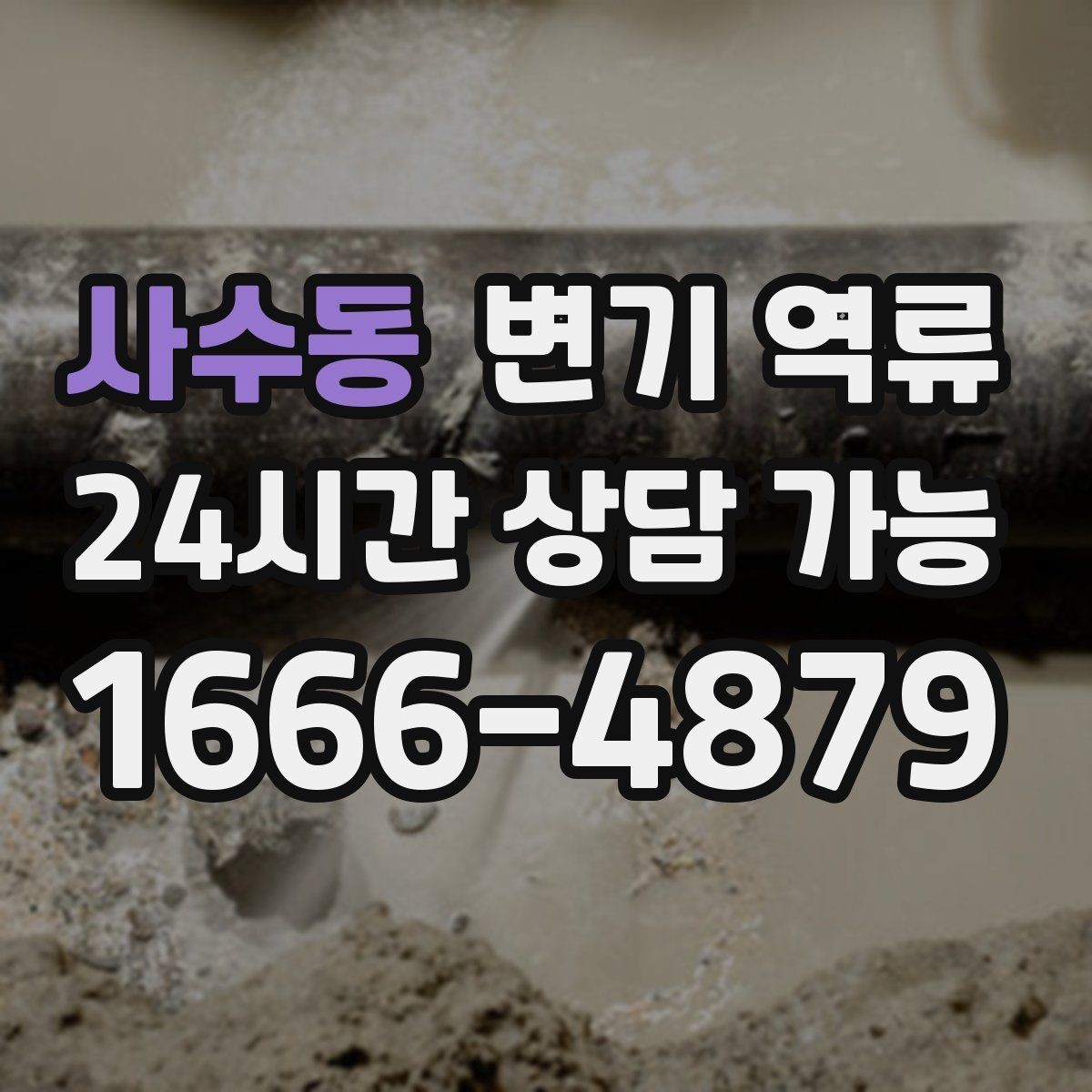 사수동 변기 역류 바닥 틈으로 스며들었을 때 위험한 이유