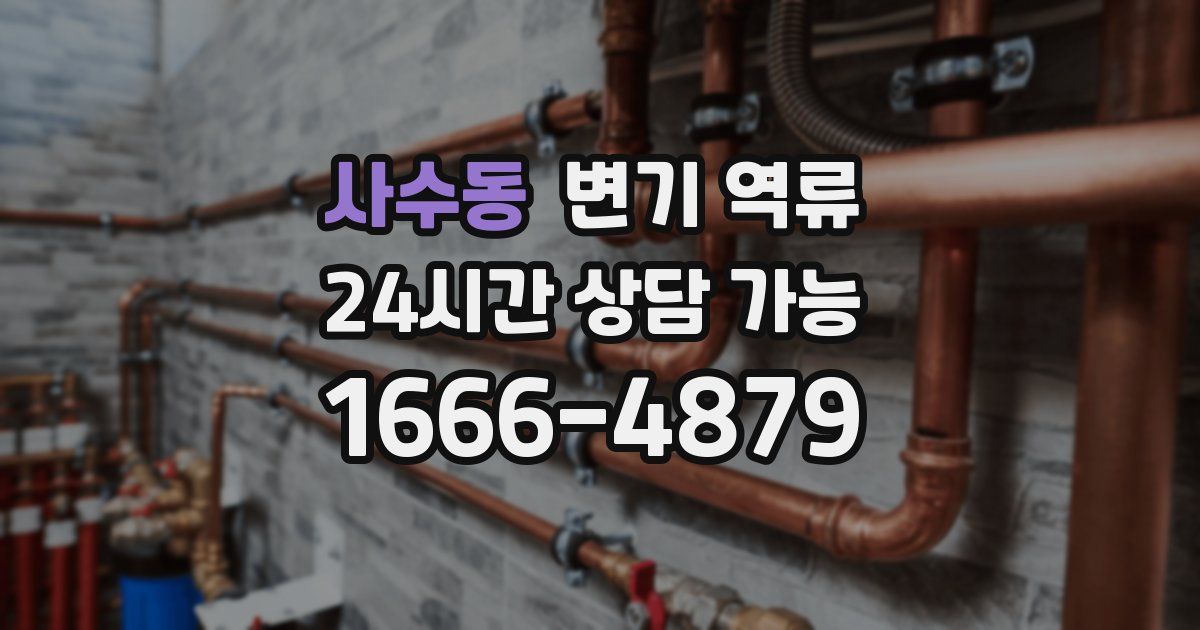 사수동 변기 역류