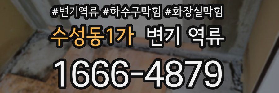 수성동1가 변기 역류