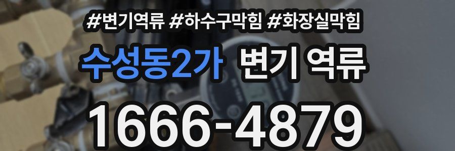 수성동2가 변기 역류