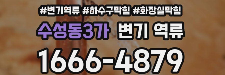 수성동3가 변기 역류