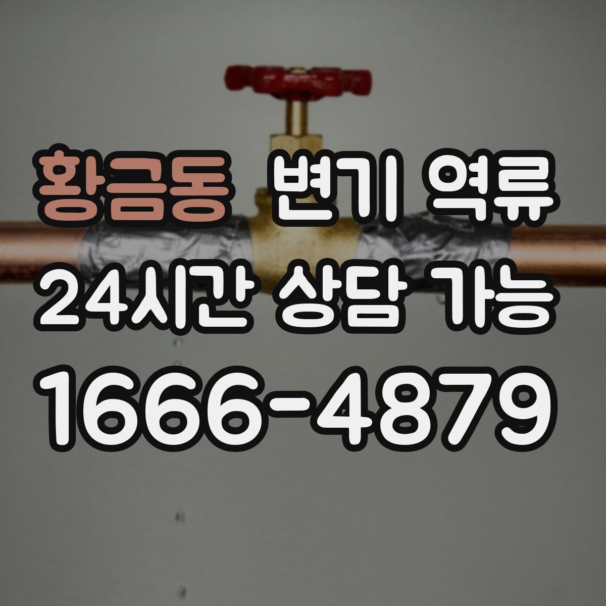 황금동 변기 역류