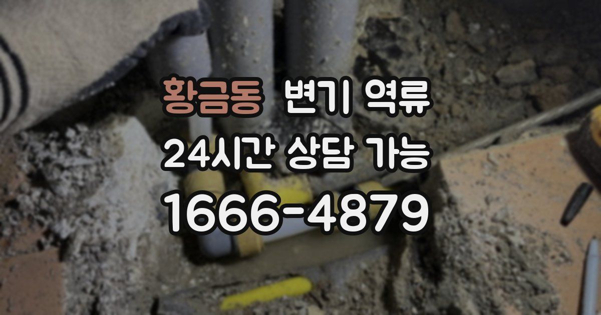 황금동 변기 역류