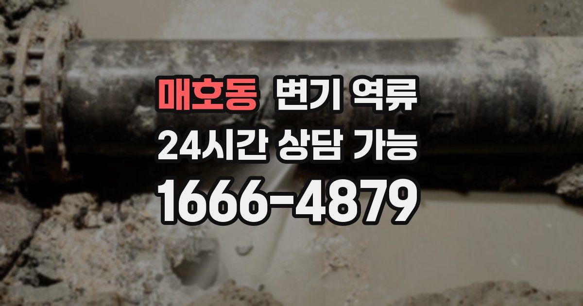 매호동 변기 역류