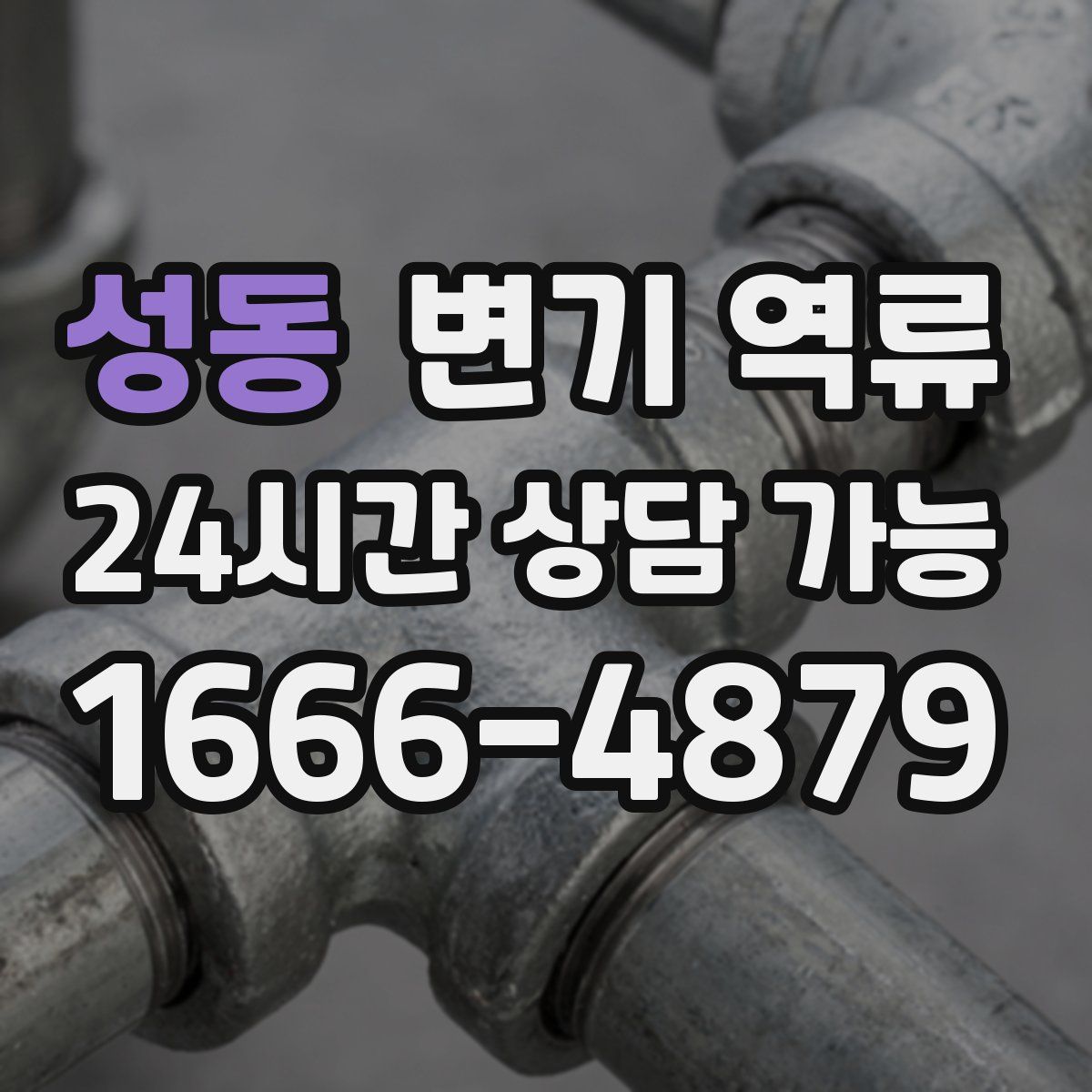 성동 변기 역류