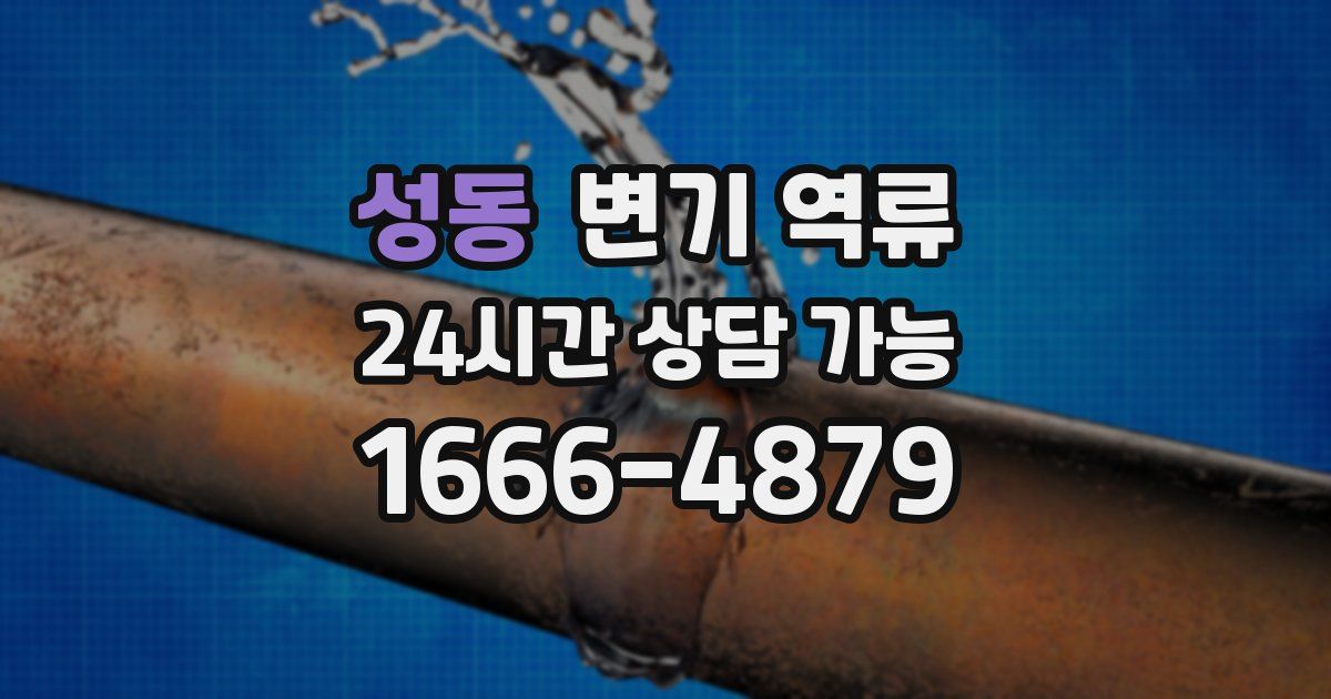성동 변기 역류