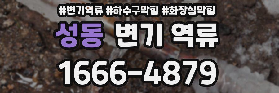 성동 변기 역류