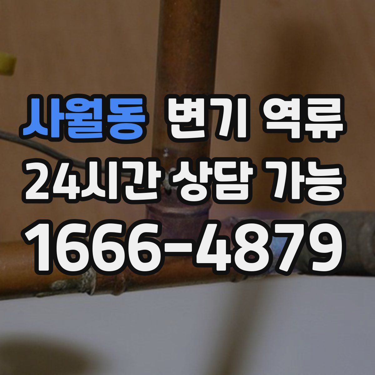 사월동 변기 역류