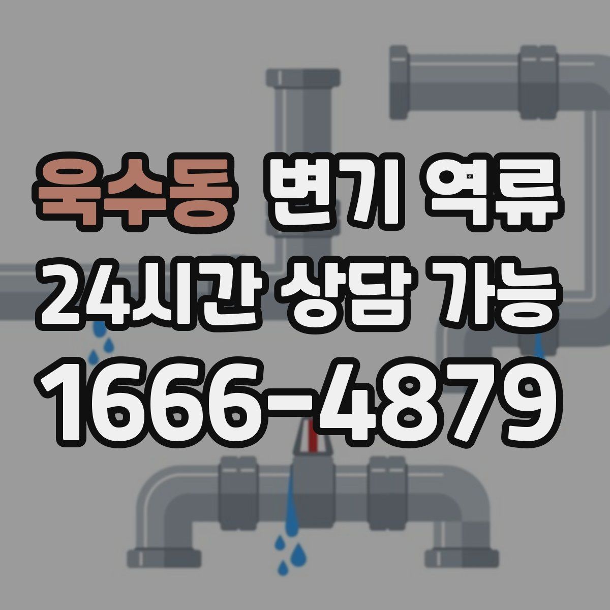 욱수동 변기 역류 과도한 세제 사용이 문제를 키울 수 있을까