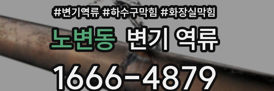 노변동 변기 역류