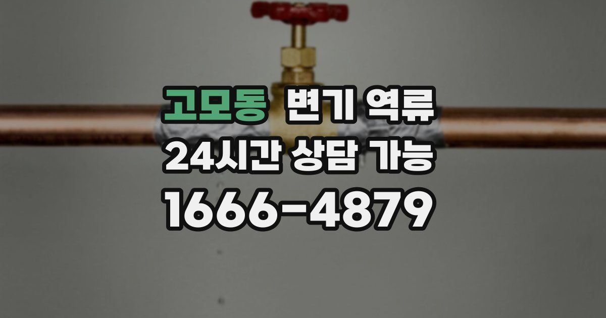 고모동 변기 역류