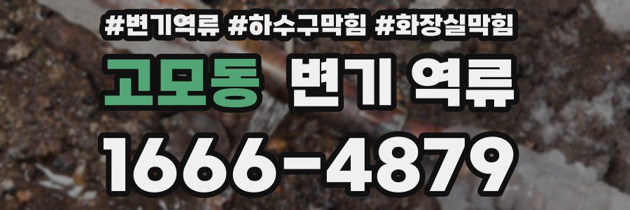 고모동 변기 역류