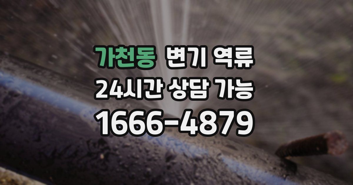 가천동 변기 역류