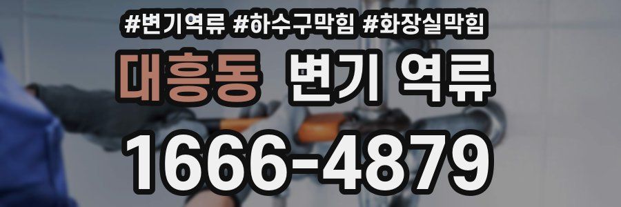 대흥동 변기 역류