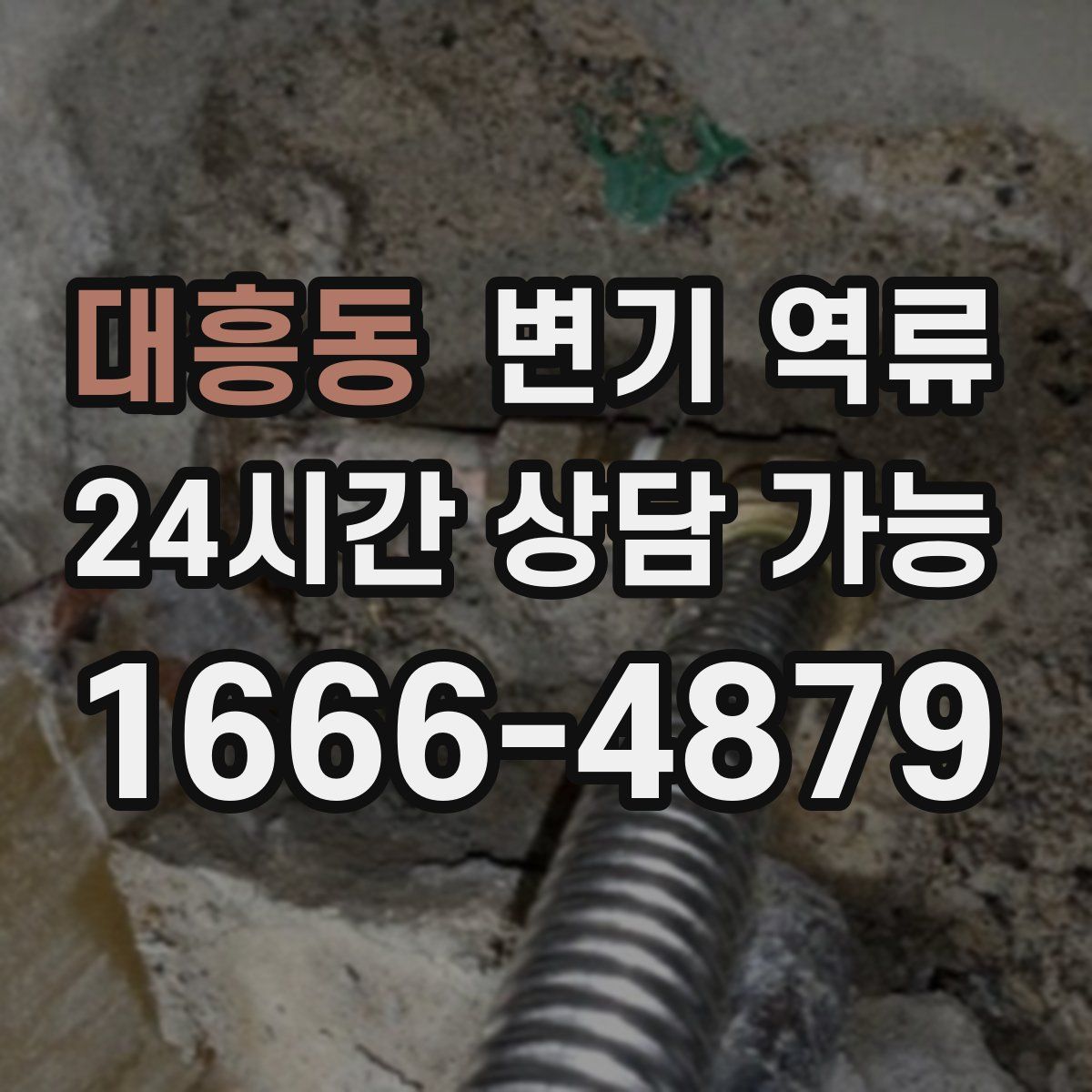 대흥동 변기 역류