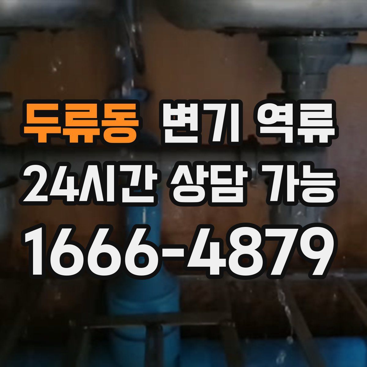 두류동 변기 역류