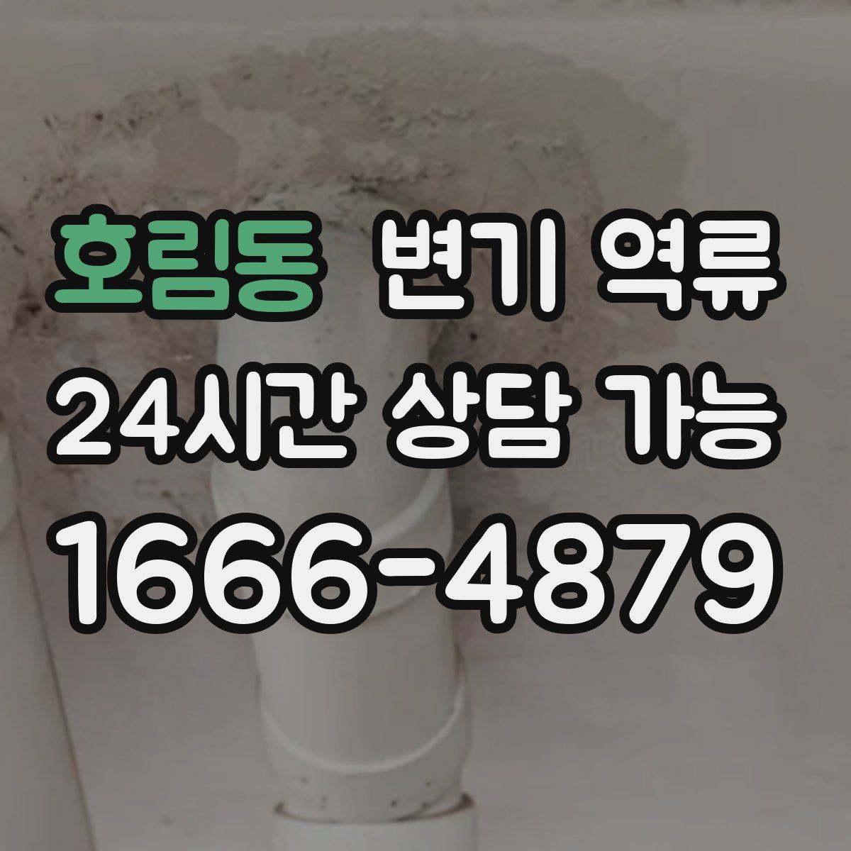 호림동 변기 역류