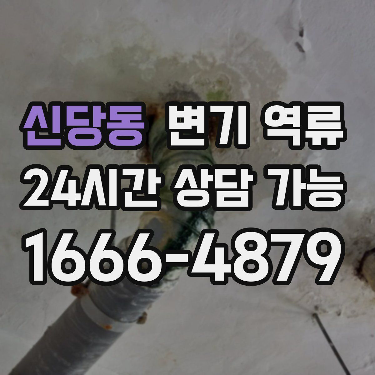 신당동 변기 역류