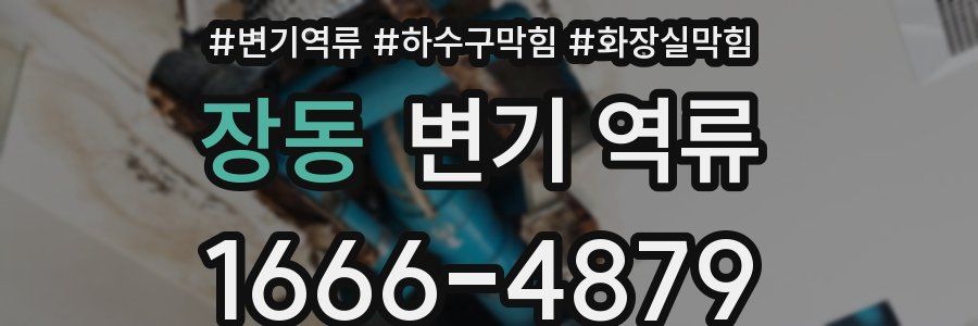 장동 변기 역류