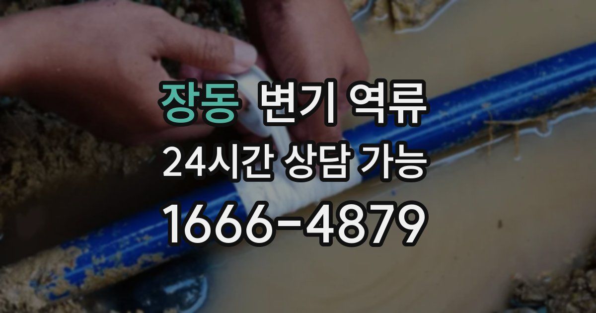 장동 변기 역류