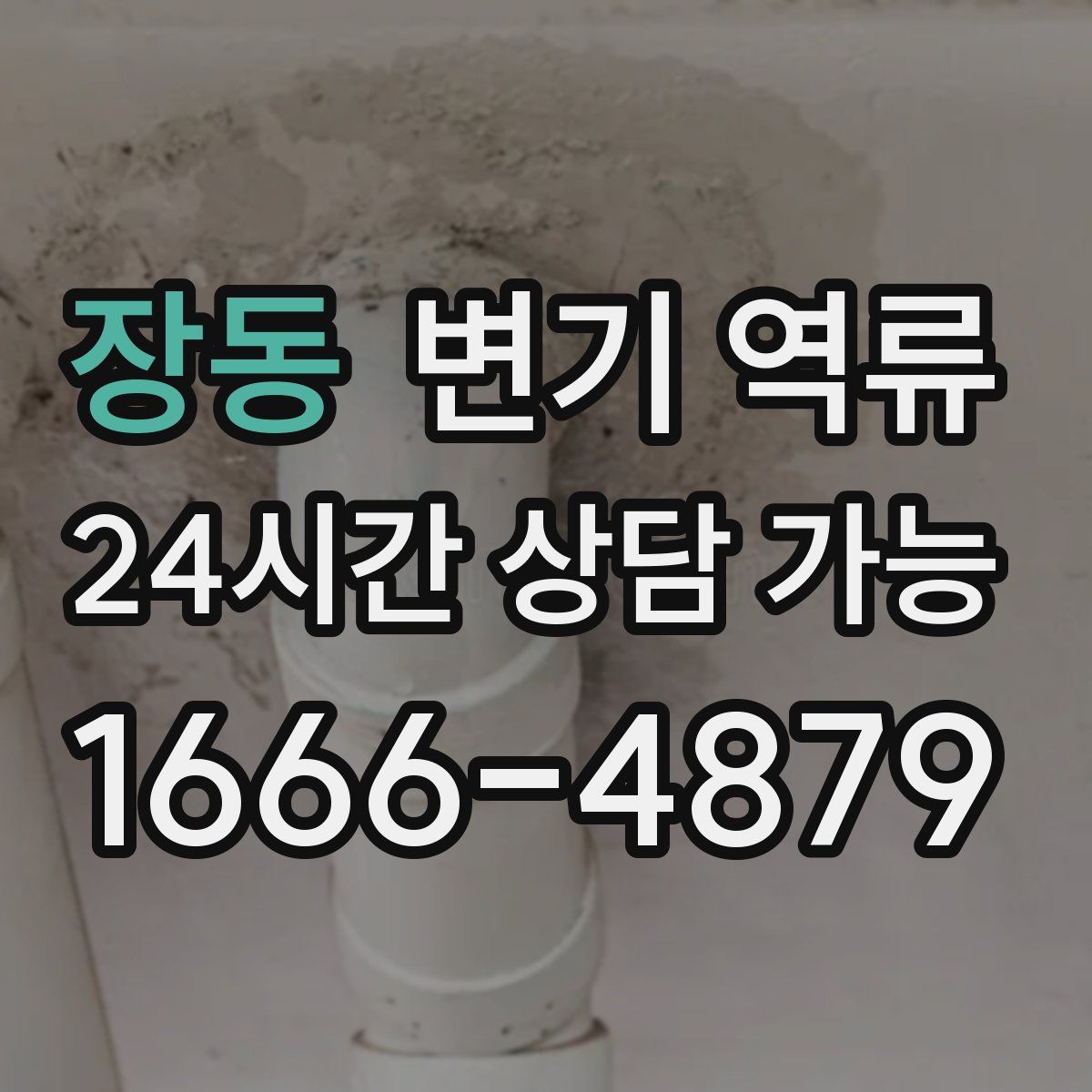 장동 변기 역류