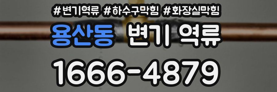 용산동 변기 역류