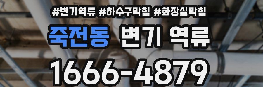 죽전동 변기 역류