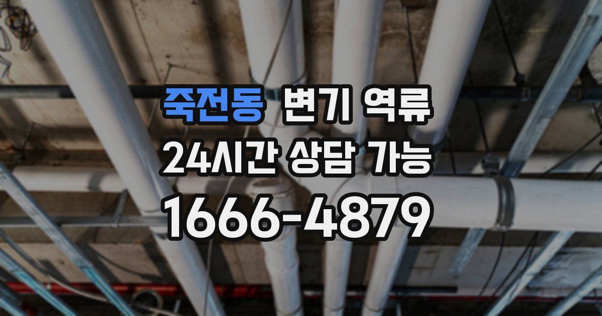 죽전동 변기 역류