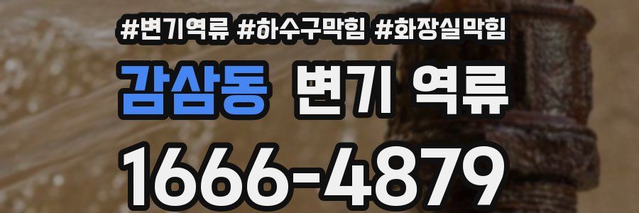 감삼동 변기 역류