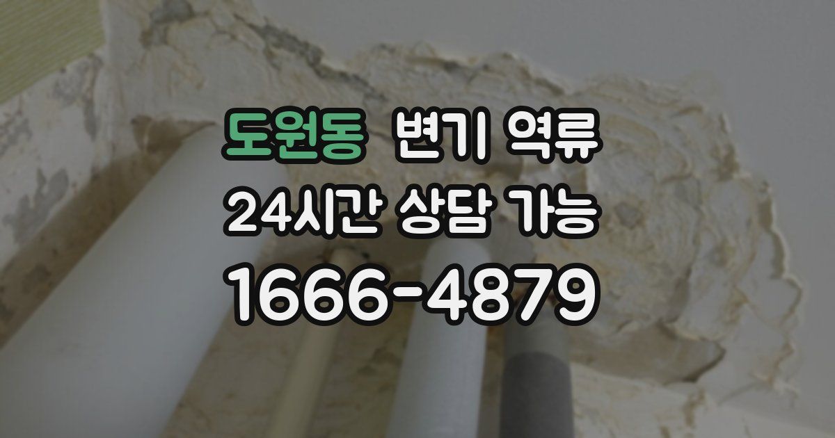 도원동 변기 역류