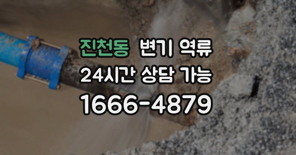 진천동 변기 역류