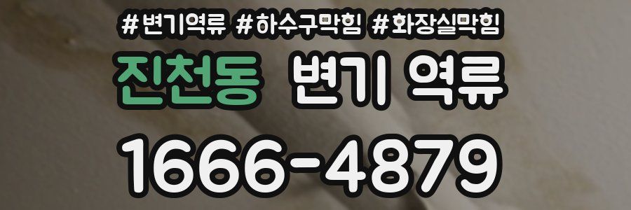 진천동 변기 역류