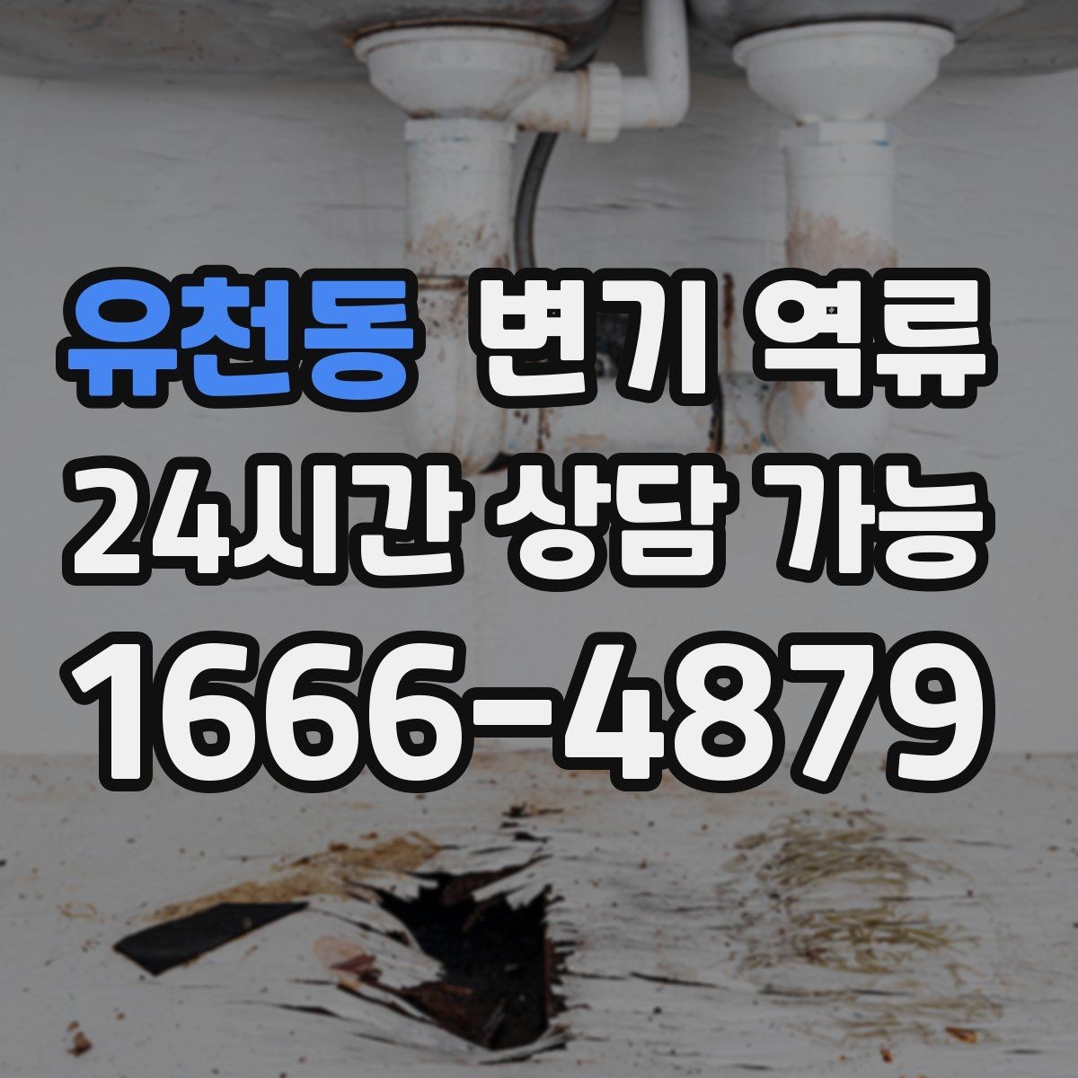 유천동 변기 역류 우수관과 오수관 문제가 섞일 수 있을까