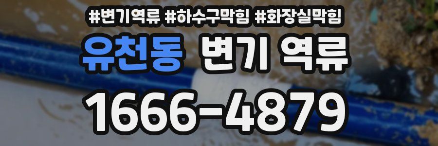 유천동 변기 역류