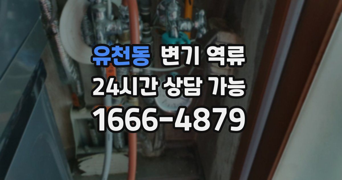 유천동 변기 역류