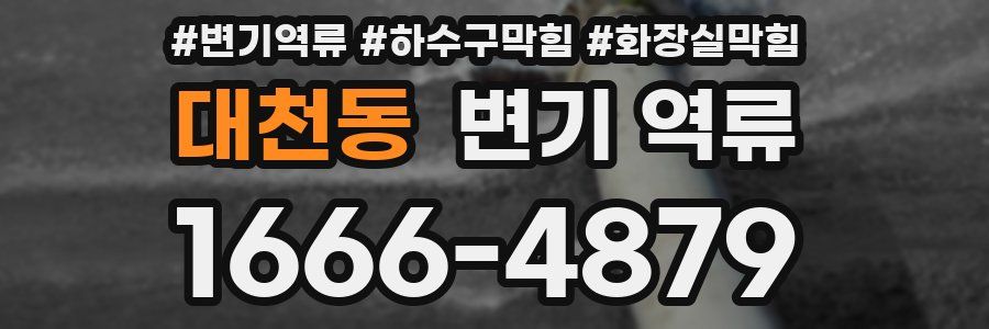 대천동 변기 역류