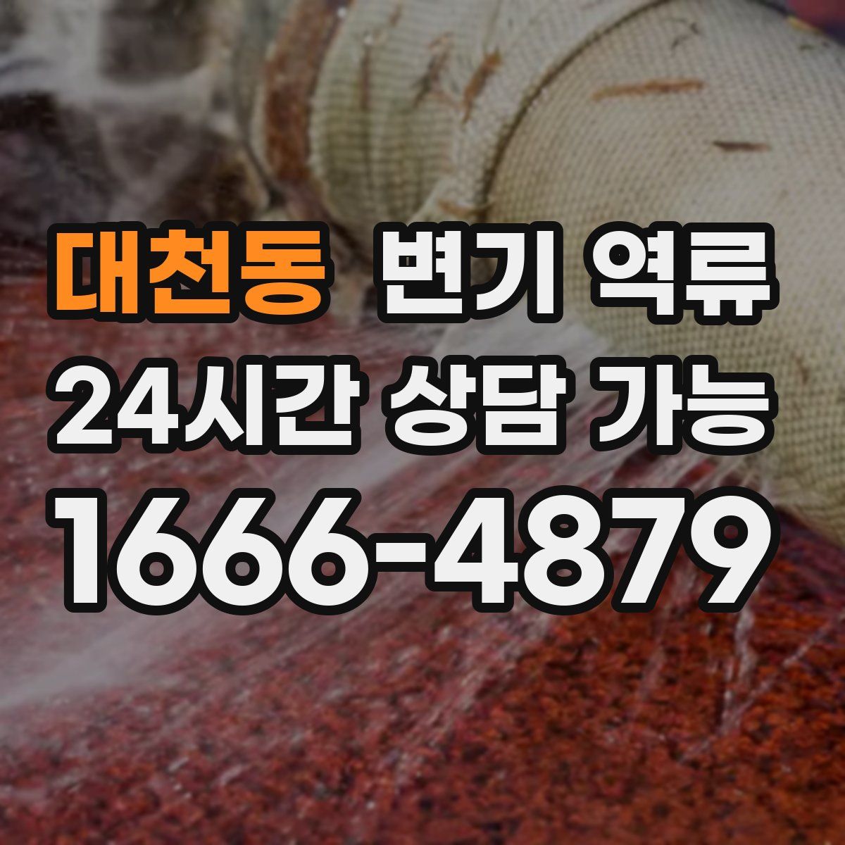 대천동 변기 역류