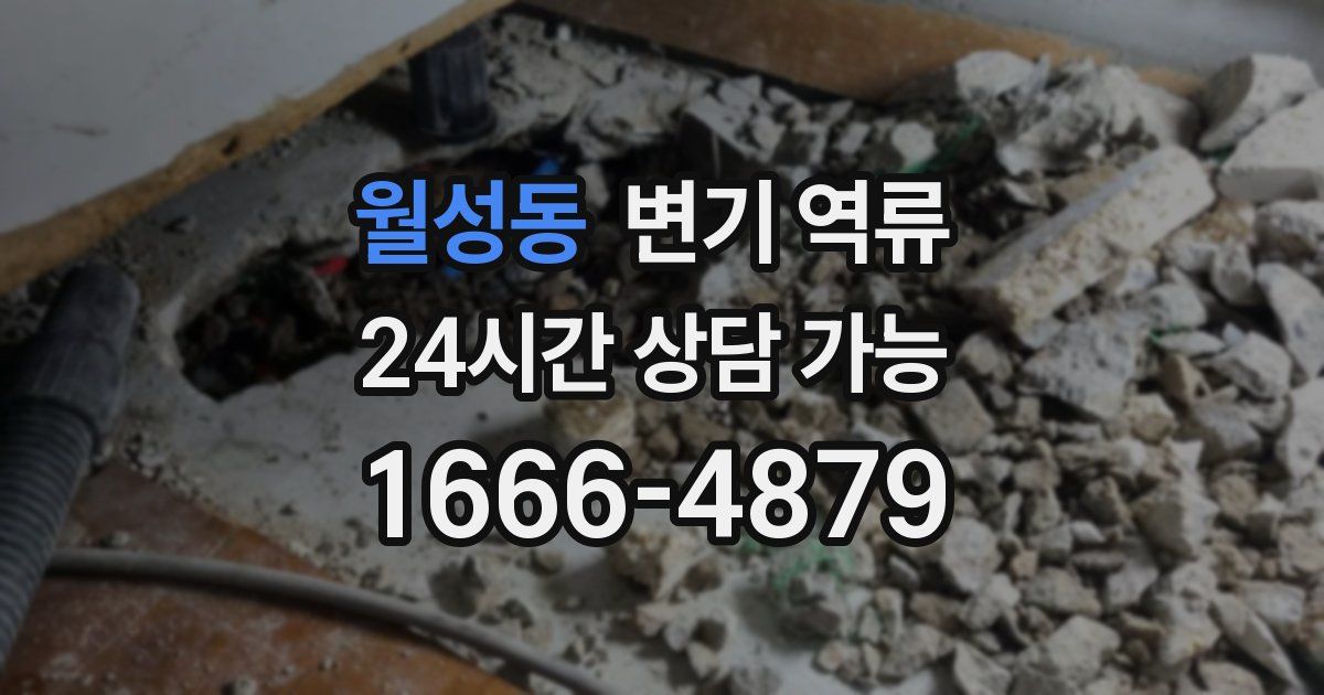 월성동 변기 역류