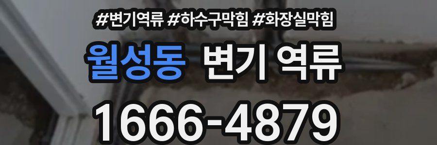 월성동 변기 역류