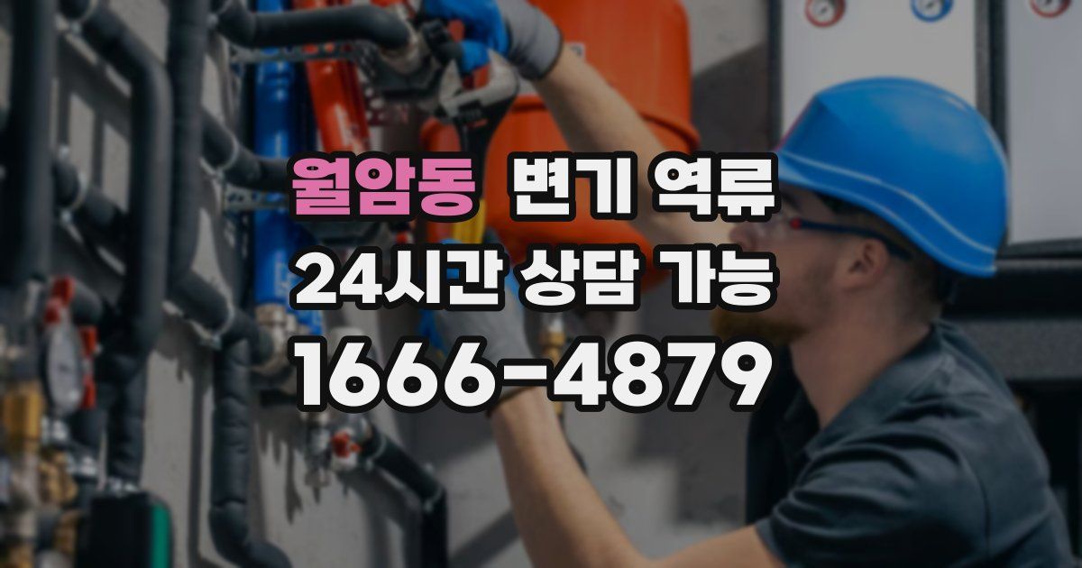 월암동 변기 역류