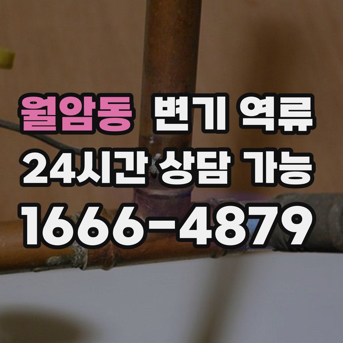 월암동 변기 역류