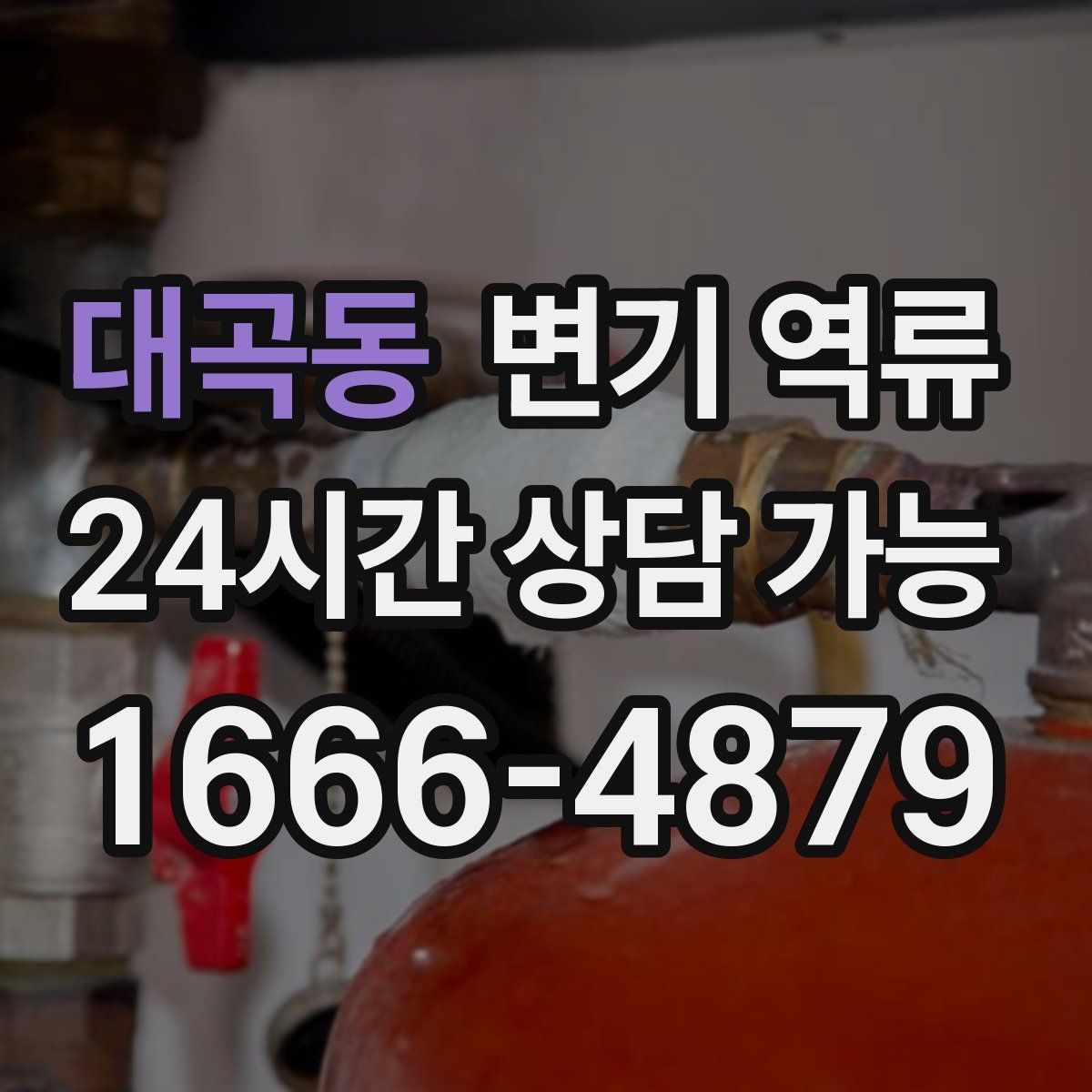 대곡동 변기 역류