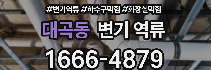 대곡동 변기 역류