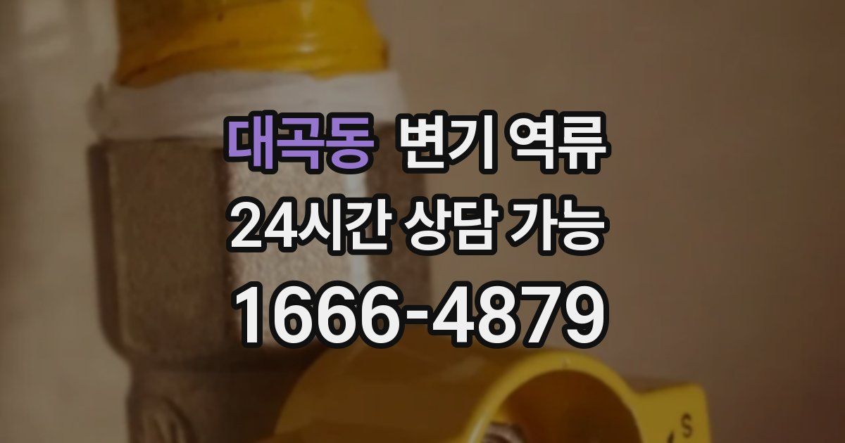 대곡동 변기 역류