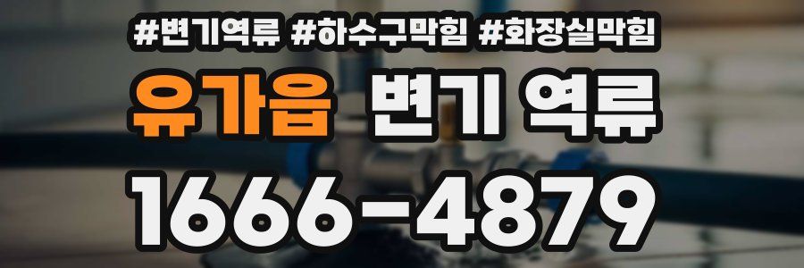 유가읍 변기 역류