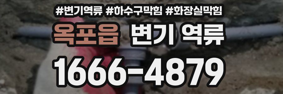 옥포읍 변기 역류